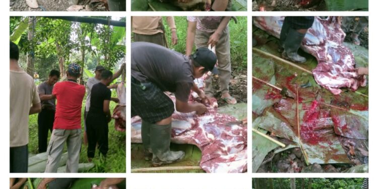 DPD GABUNGAN WARTAWAN INDONESIA KALIMANTAN SELATAN MENGUCAPKAN “SELAMAT HARI RAYA IDUL ADHA 10DJULHIJJAH1445.H./2024.M.