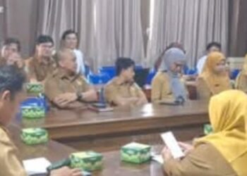 pembinaan StaTistiK Sek toral rapat persiapan sektoral tahun 2025 kabupaten Oku Selatan