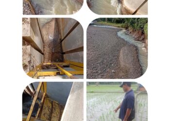 Lapor Pak Bupati..”!!! Pintu Air Saluran Irigasi Rusak Tidak Berfungsi,Ratusan Hektar Sawah di Kecamatan Marga Punduh Terancam Gagal Panen. 