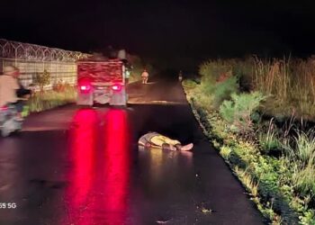 Warga wamena jadi Korban tabrak lari di simpang lapangan terbang muara kali balim Jayawijaya 