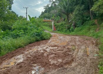 Akibat Hujan Deras, Ruas Jalan Provinsi di Kelumbayan Barat dan Kelumbayan Induk Tanggamus Tertimbun Tanah Longsor