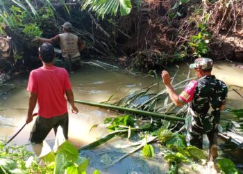 Babinsa Serka Irwan Yuliadi Bersama Warga Evakuasi Pohon Tumbang di Sungai Labuan Amas Selatan