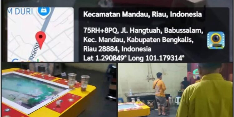 Kerajaan Judi” Diduga Berdiri di Mandau: Nama Raja dan Jensen Menggema, Aparat Seolah Lumpuh — Ada Kekuatan Besar di Baliknya?