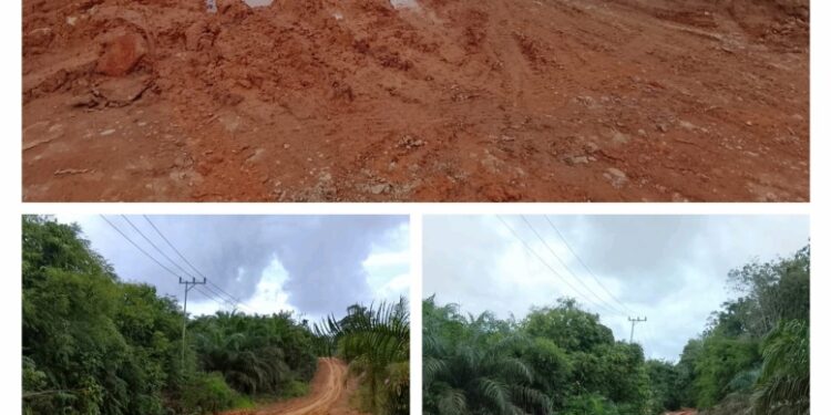 Jeritan Hati.” Warga Desa, Kotim meminta bupati Kotim perduli untuk Perbaiki Jalan Di Desa Kami