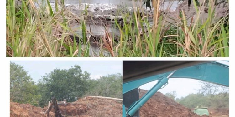 *Diduga Ada Oknum Kuat Inisial BL dan SK, AS di Balik Tambang Pasir Ilegal Nikoi–Malang Rapat, Polisi Wilayah Bintan Tak Berkutik?*