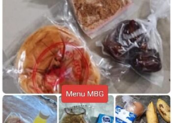 MBG di Pesawaran Jadi Sorotan, Keluhan Siswa dan Wali Murid Muncul di Sejumlah Sekolah