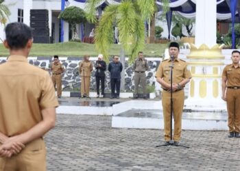 Apel Gabungan dan Halal Bihalal, Bupati OKU Selatan Tekankan Kinerja di Tengah Tantangan Keuangan Daerah