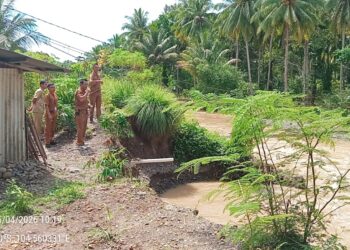 Kritis! Tanggul Tersisa 1 Meter dari Rumah Warga di Pekon Negara Batin Harapkan Pemkab Cepat Bertindak