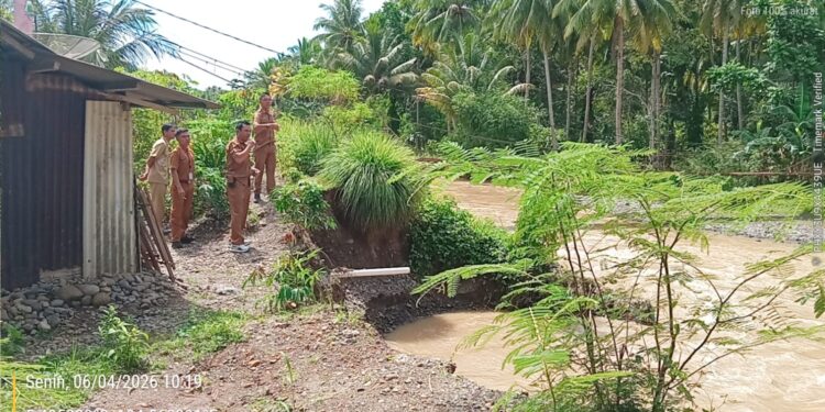 Kritis! Tanggul Tersisa 1 Meter dari Rumah Warga di Pekon Negara Batin Harapkan Pemkab Cepat Bertindak