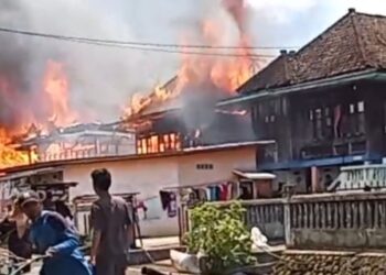 Bupati OKU Selatan Tinjau Lokasi Kebakaran di Desa Gedung Wani