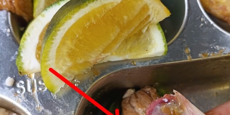 Pelajar SMAN 1 Padang Cermin Komplen, Daging Ayam Menu MBG Diduga Belum Matang