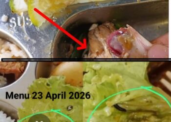 Ada Apa dengan MBG di Pesawaran ? Pertengahan April Siswa Disuguhi Ayam Belum Matang, Kini Diduga Temukan Ulat di Menu MBG