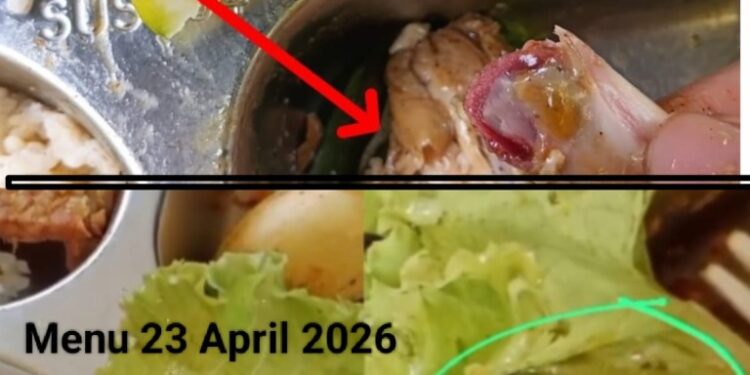 Ada Apa dengan MBG di Pesawaran ? Pertengahan April Siswa Disuguhi Ayam Belum Matang, Kini Diduga Temukan Ulat di Menu MBG