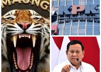 UJIAN BAGI PEMERINTAH! MAUNG Desak Prabowo Buktikan Keseriusan Usut Kasus Rp.40 Miliar di Mempawah   