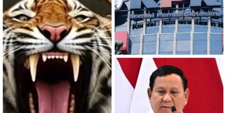 UJIAN BAGI PEMERINTAH! MAUNG Desak Prabowo Buktikan Keseriusan Usut Kasus Rp.40 Miliar di Mempawah   