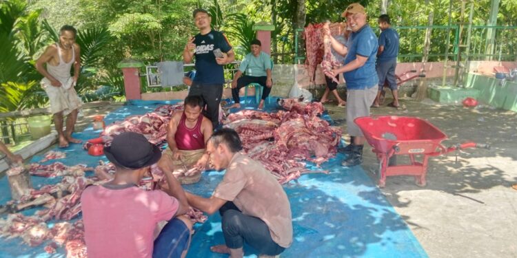 Ikhlas Berkurban, Menebar Kebaikan untuk Sesama demi Meraih Keberk ahan dan Ridho Allah