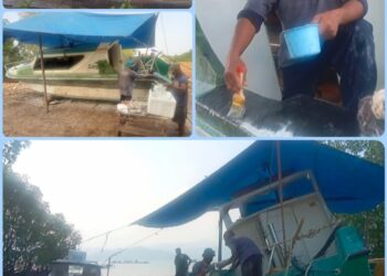 Amryl Mattjik,Tenaga Ahli Perbaikan Perahu Motor Fiberglass dari Pesawaran