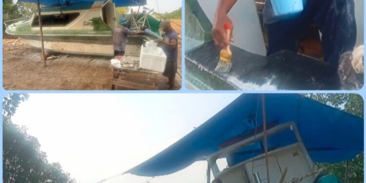 Amryl Mattjik,Tenaga Ahli Perbaikan Perahu Motor Fiberglass dari Pesawaran