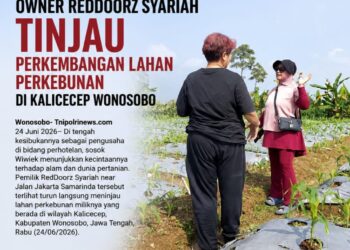 OWNER REDDOORZ SYARIAH TINJAU PERKEMBANGAN LAHAN PERKEBUNAN DI KALICECEP WONOSOBO
