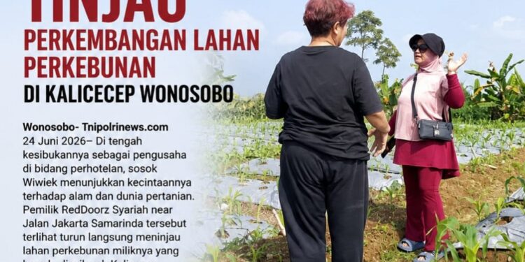 OWNER REDDOORZ SYARIAH TINJAU PERKEMBANGAN LAHAN PERKEBUNAN DI KALICECEP WONOSOBO