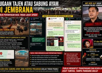 *LAPORAN DUGAAN TAJEN ATAU SABUNG AYAM DI JEMBRANA: PUBLIK PERTANYAKAN HASIL TINDAK LANJUT APARAT*