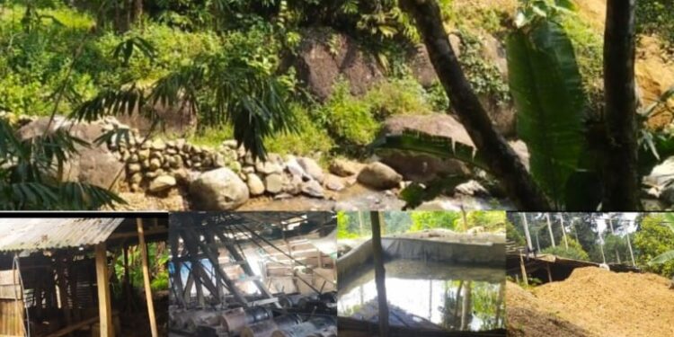 PETI di Cisoka, Lebak Pari, dan Lebak Tenjo Diduga Masih Beroperasi; Dugaan Kebocoran Razia hingga Keterlibatan Oknum APH Mencuat