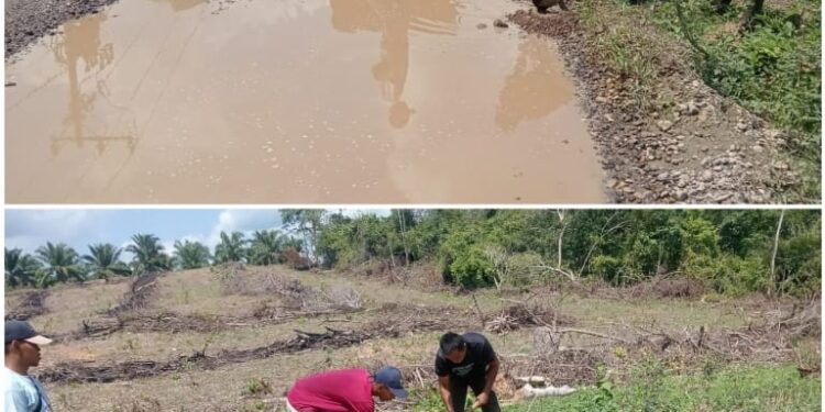 PTPN IV Regional VI Kebun Julok Rayeuk Utara Timbun Jalan Lintas Alue Mirah–Kota Binje